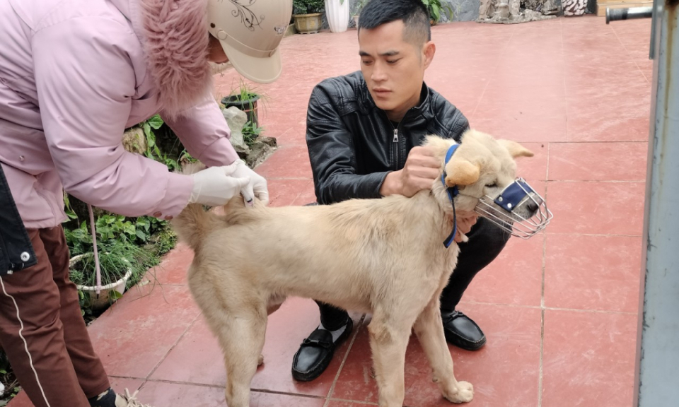 Chủ động phòng chống bệnh lây từ động vật sang người