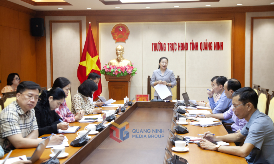 Giám sát thu NSNN trên địa bàn thành phố Hạ Long