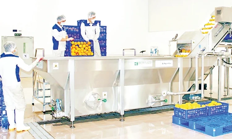 Ngành nông nghiệp hứa hẹn bứt phá mạnh mẽ