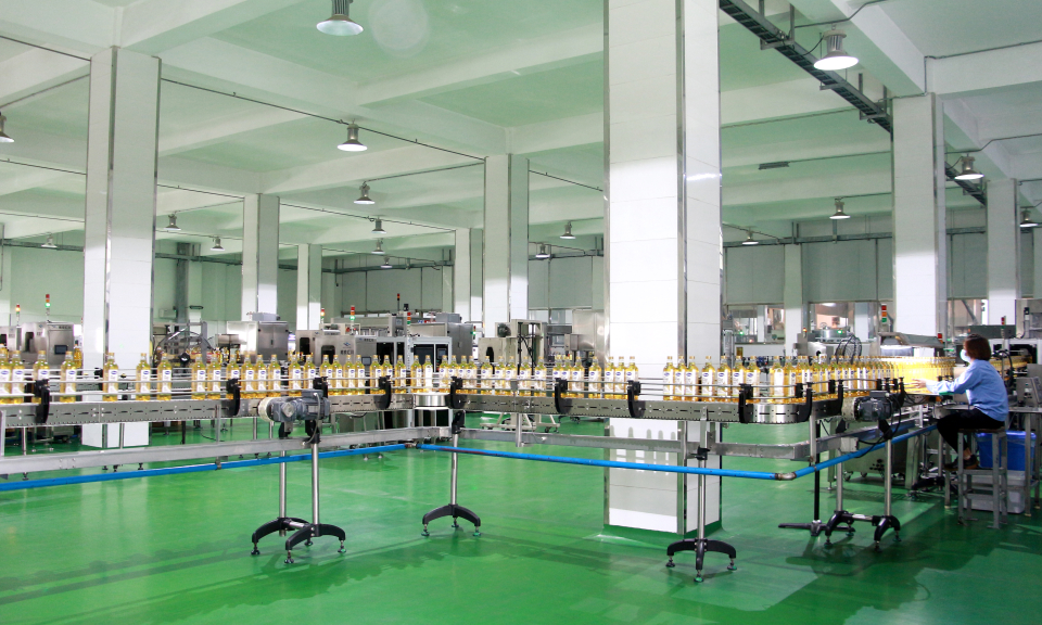 Tạo môi trường thuận lợi, phát triển kinh tế tư nhân