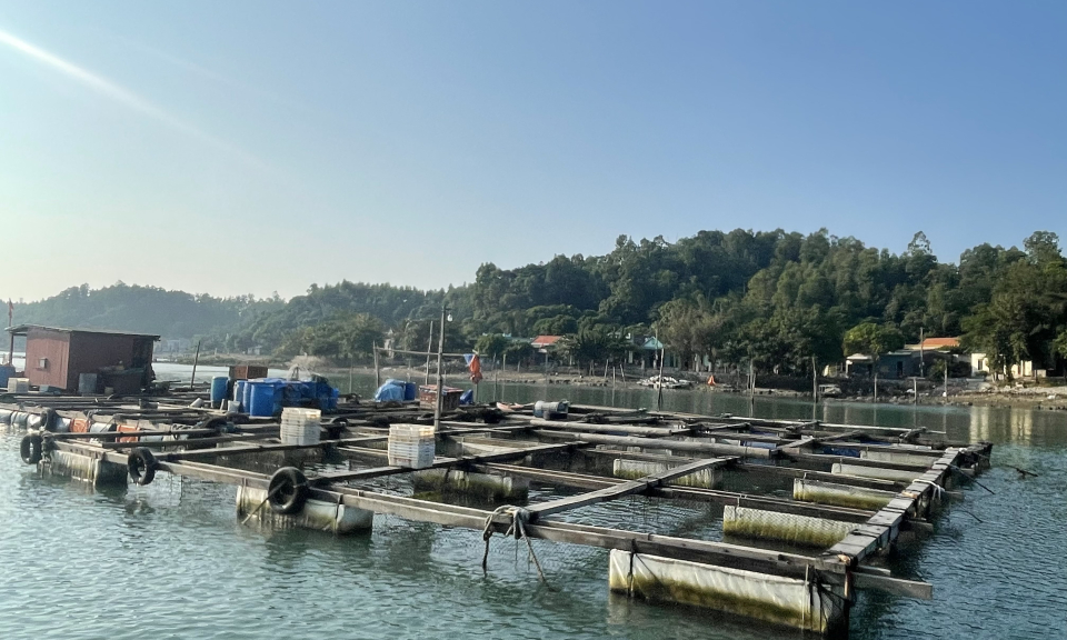 Vân Đồn: Phát triển vùng nuôi trồng thủy sản bền vững