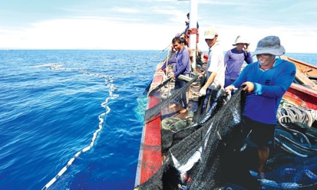 Khai thác thủy sản không có Giấy phép bị phạt tới 100 triệu đồng