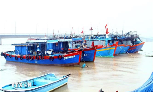 Party Central Committee's Secretariat demands enhancing IUU fishing combat
