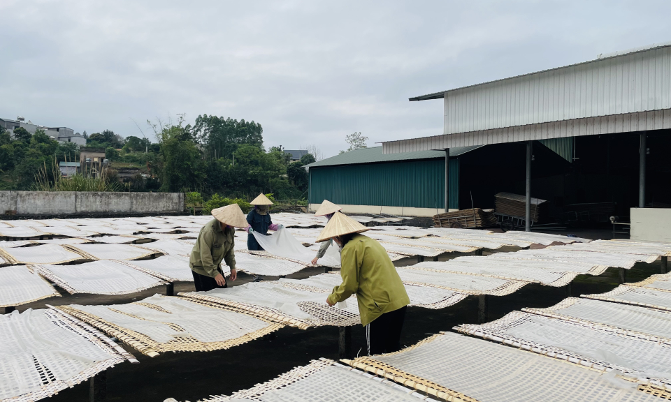 Khuyến khích đầu tư, liên kết sản xuất, chế biến, tiêu thụ nông sản