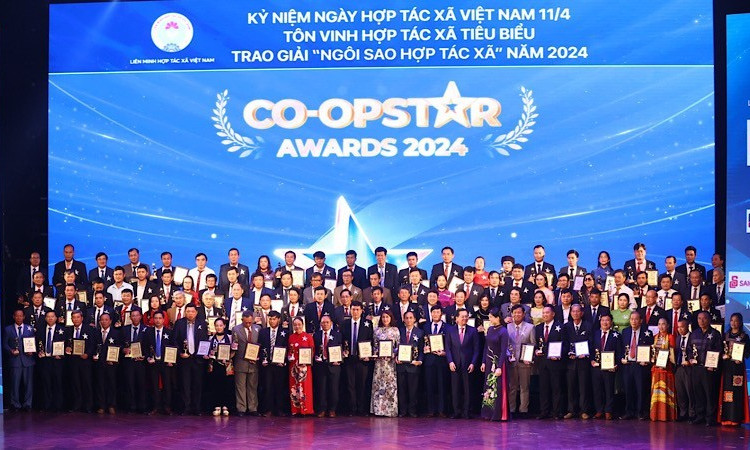 Vietnam honours outstanding cooperatives of 2024
