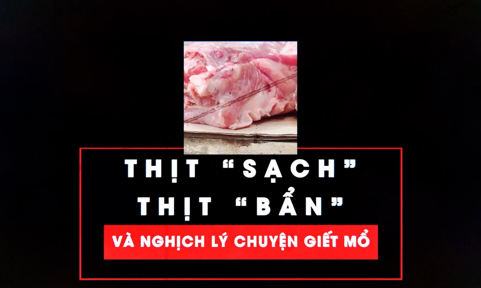 Thịt “sạch” – Thịt “bẩn” và nghịch lý chuyện giết mổ