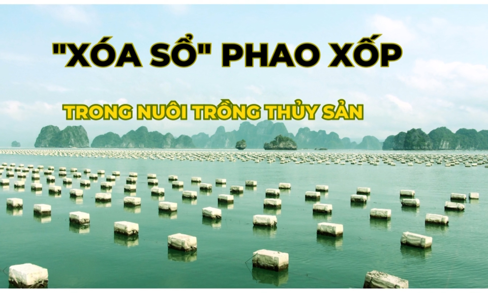 Vân Đồn “xoá sổ” phao xốp trong nuôi trồng thuỷ sản