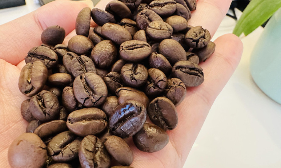 Giá cà phê tăng khủng khiếp, lên 114.000 đồng/kg, nhiều nông dân tiếc nuối