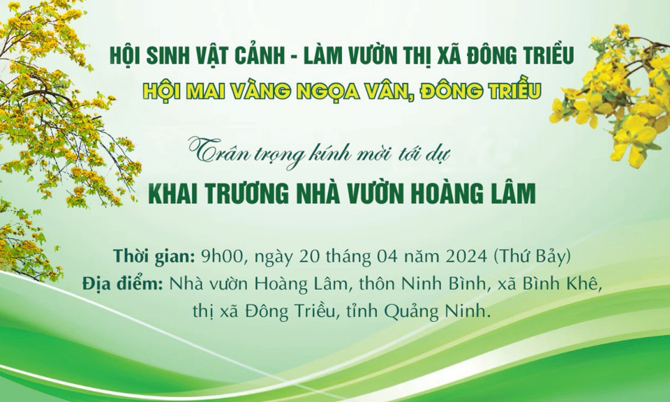 Khai trương Nhà vườn Hoàng Lâm - Nhà vườn sở hữu bộ sưu tập mai vàng quy mô, đồ sộ và quý hiếm bậc nhất Việt Nam