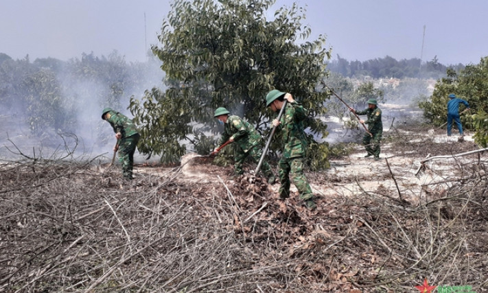 Cháy 2 ha rừng trồng tràm tại Thừa Thiên Huế