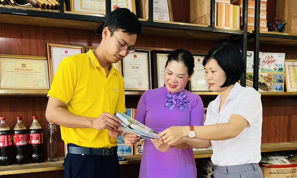 Phát triển các sản phẩm OCOP Cô Tô