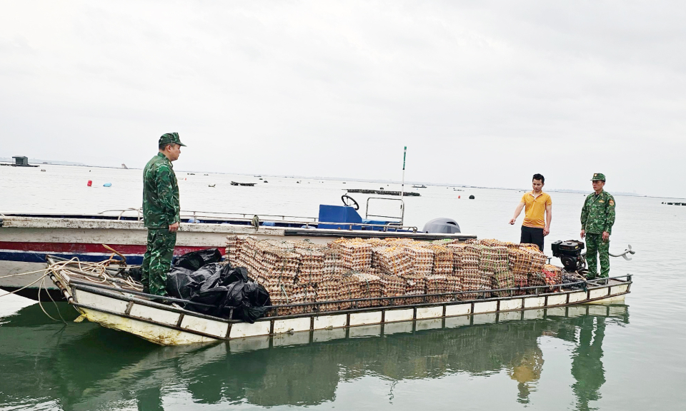 Bắt giữ phương tiện vận chuyển 29.400 quả trứng gà nhập lậu