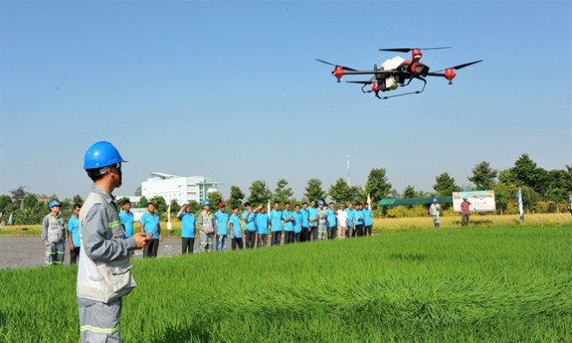 Digital transformation is the new buzz on rice fields