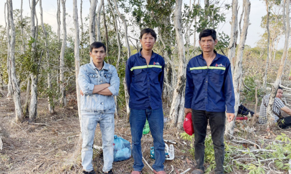 Bắt quả tang 3 đối tượng phá hơn 2.000m2 rừng ở Phú Quốc