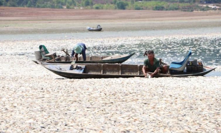 200 tấn cá chết trên hồ thủy lợi ở Đồng Nai
