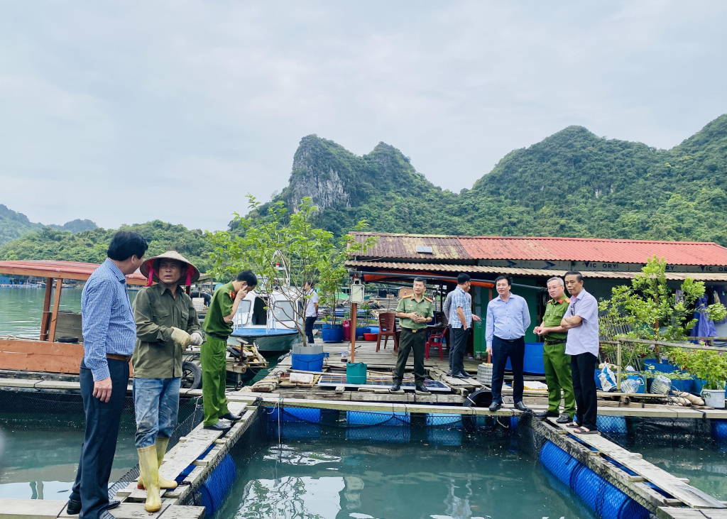Tổ trưởng tổ công tác liên ngành của UBND tỉnh kiểm tra khu vực nuôi trồng thủy sản tại xã Hạ Long, huyện Vân Đồn.