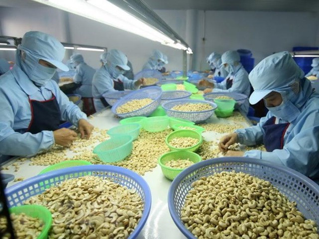 Cashew exports look to US$4 billion - Ảnh 1.