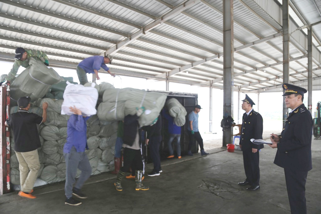Cán bộ Chi cục Hải quan cửa khẩu Móng Cái giám sát hàng hóa nhập khẩu qua cửa khẩu cầu Bắc Luân II.