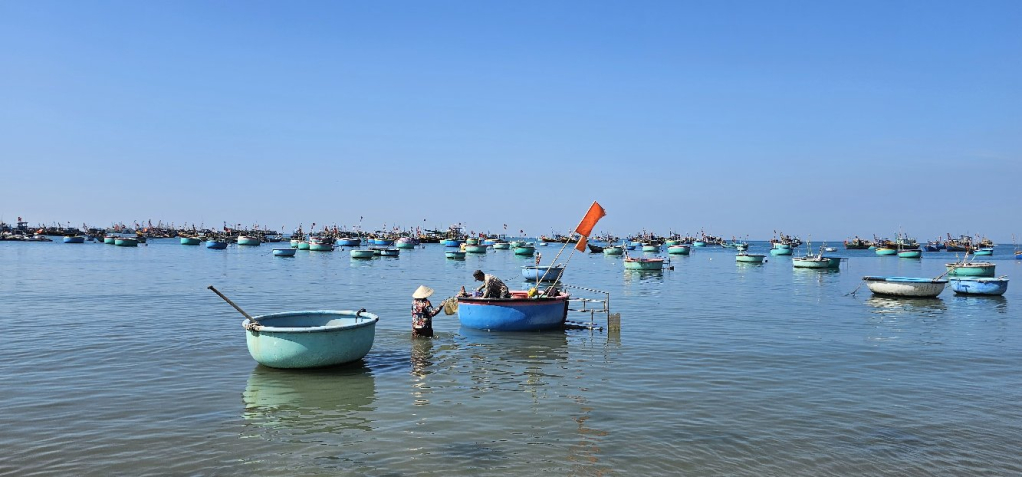 Thuyền thúng là phương tiện đánh bắt hải sản phổ biến của ngư dân miền Trung.