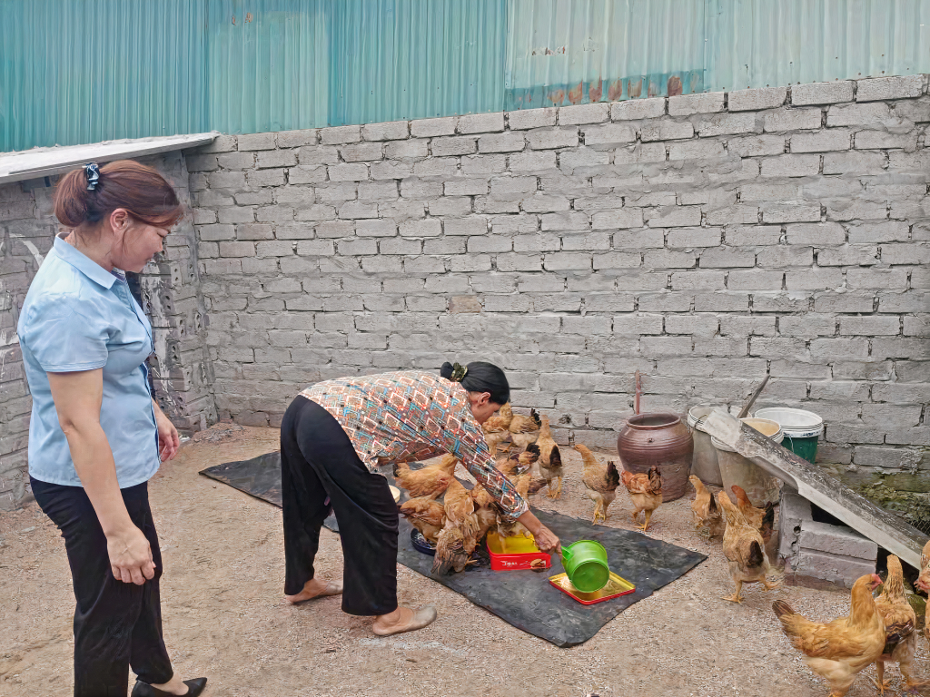 Hội LHPN xã Cẩm Hải (TP Cẩm Phả) trao tặng mô hình sinh kế nuôi gà thả vườn hỗ trợ phụ nữ trên địa bàn vươn lên thoát cận nghèo.