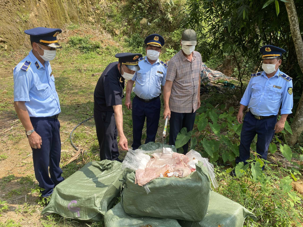 Các lực lượng chức năng huyện Bình Liêu tiến hành tiêu hủy 550 kg nầm lợn không rõ nguồn gốc, xuất xứ, bắt giữ ngày 23 và 24/4. Ảnh; Thu Hằng (Trung tâm TT&VH Bình Liêu)