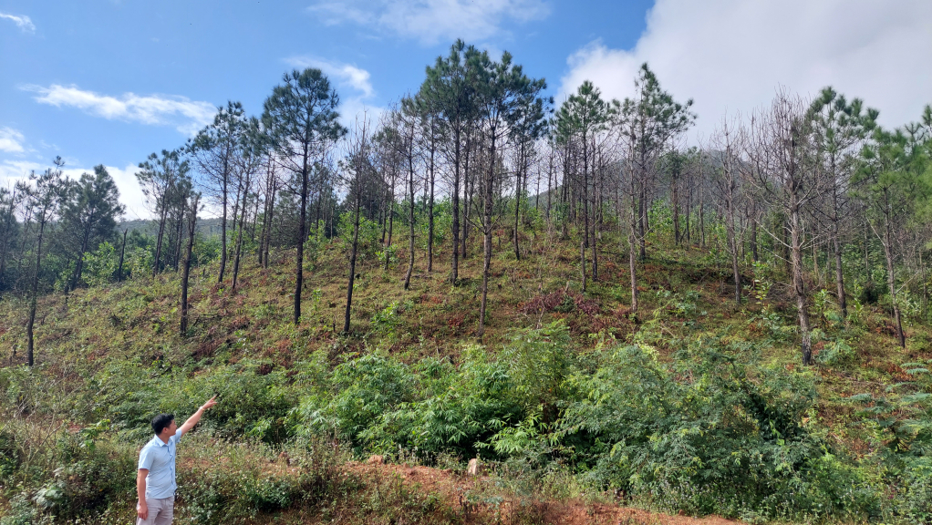 Hiện nay xã Bắc Sơn đã hoàn thiện 40 bộ hồ sơ đề nghị giao đất, giao rừng
