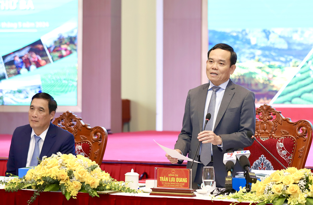 Phó Thủ tướng Chính phủ Trần Lưu Quang phát biểu kết luận hội nghị.