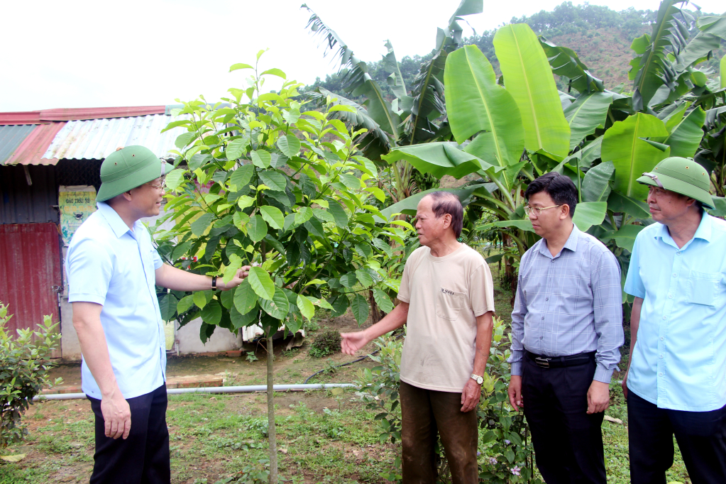 Đồng chí Nghiêm Xuân Cường, Phó Chủ tịch UBND tỉnh, trao đổi với người dân về triển khai trồng rừng cây gỗ lớn trên địa bàn huyện Hải Hà. Ảnh: Mạnh Trường