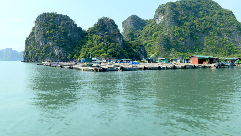 Khu vực hòn Ông Cụ, phường Cẩm Đông nằm trong diện tích được quy hoạch nuôi trồng thủy sản trên biển TPCẩm Phả đến năm 2030, tầm nhìn 2045