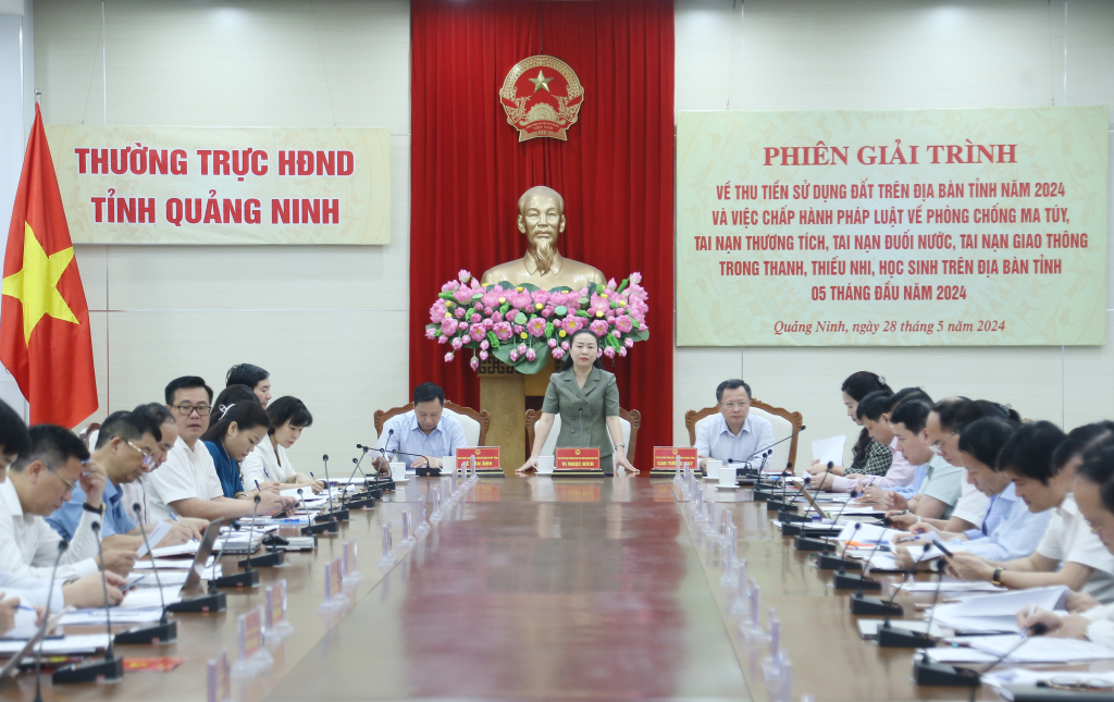 Đồng chí Vi Ngọc Bích, Phó Chủ tịch Thường trực HĐND tỉnh kết luận các nội dung tại phiên giải trình.