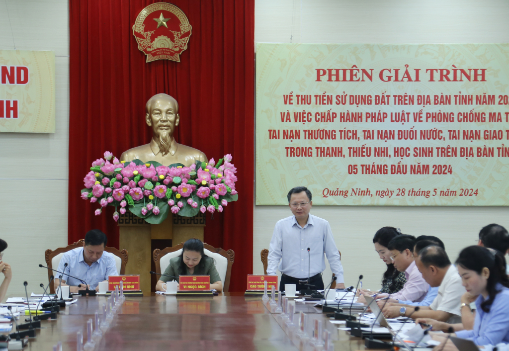 Đồng chí Cao Tường Huy, Phó Bí thư Tỉnh ủy, Chủ tịch UBND tỉnh, phát biểu tại phiên họp.