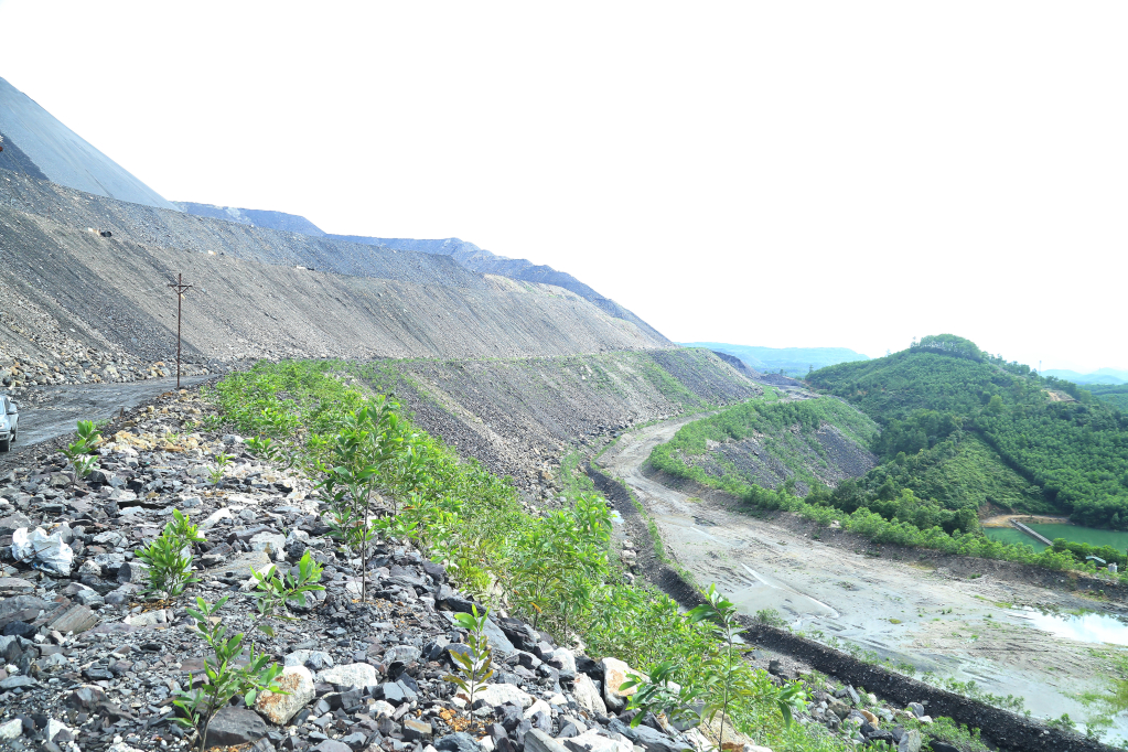 Bãi thải mỏ Bàng Nâu đã được cải tạo. 