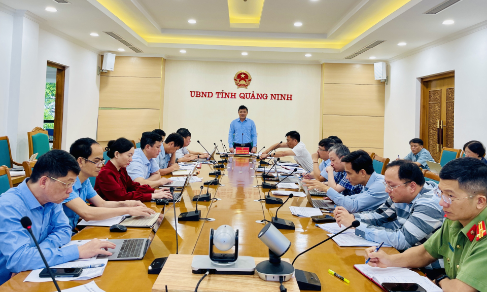 UBND tỉnh nghe báo cáo công tác lập Đề án “Phát triển nhanh, bền vững kinh tế biển tỉnh Quảng Ninh giai đoạn đến năm 2030, tầm nhìn đến năm 2050”