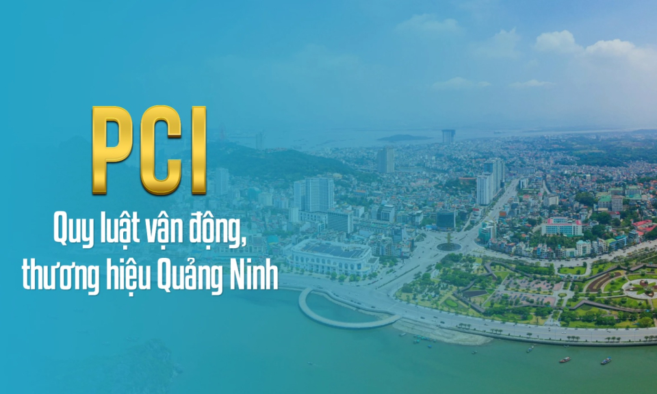 PCI - Quy luật vận động, thương hiệu Quảng Ninh