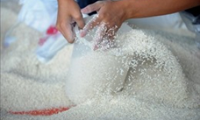 Xuất bổ sung hơn 58.300 kg gạo hỗ trợ học sinh ở xã, thôn đặc biệt khó khăn
