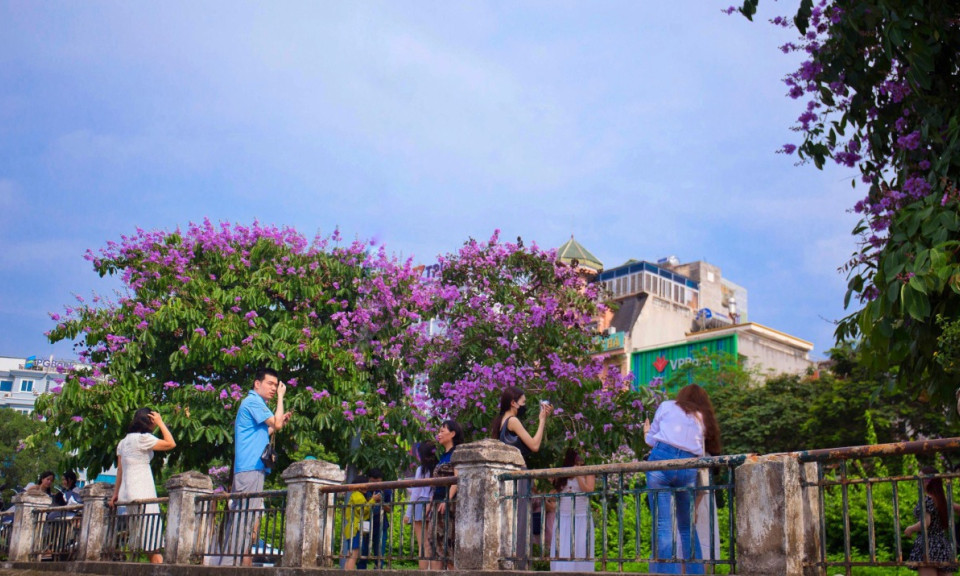Người Hà Nội chen chân chụp ảnh hoa bằng lăng