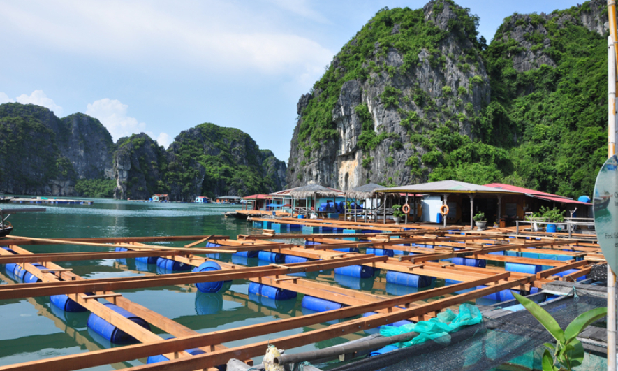 Bản tin Quảng Ninh ngày 13/5/2024