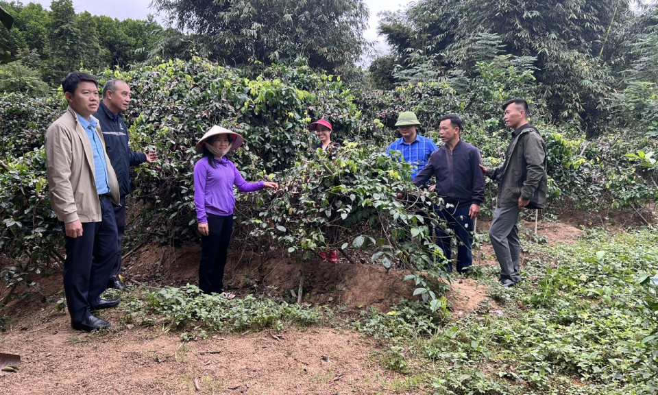 Khởi sắc vùng cao Hạ Long