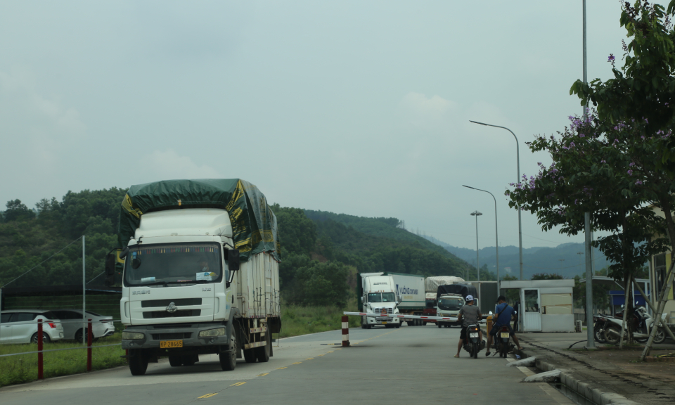 Móng Cái: Kim ngạch XNK hàng hóa đạt hơn 1,2 tỷ USD