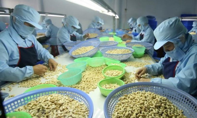 Cashew exports look to US$4 billion