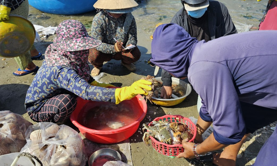 Độc đáo chợ cá làng chài Mũi Né