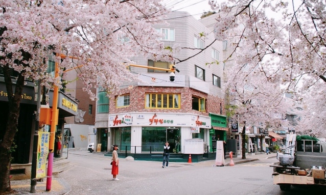 Seoul phát hành thẻ giao thông trọn gói cho du khách