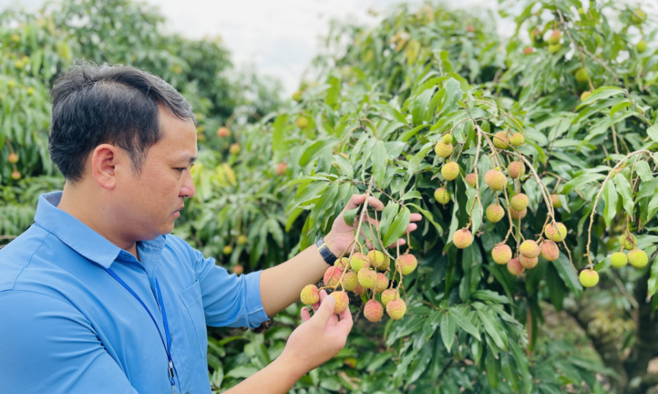 Kiểm soát chặt thị trường vật tư nông nghiệp