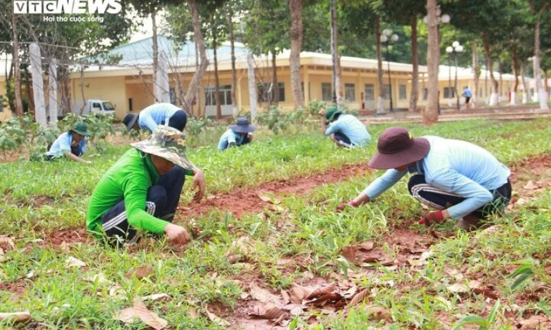 Bắt giam Phó trưởng Phòng Y tế cơ sở cai nghiện ma túy Bà Rịa - Vũng Tàu