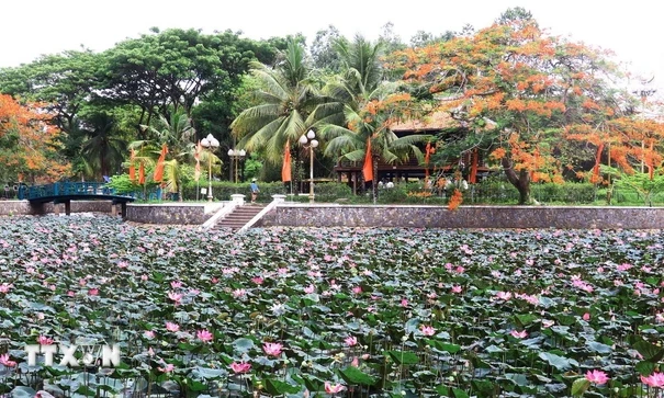 Thăm Nhà sàn Bác Hồ trong Khu di tích Nguyễn Sinh Sắc