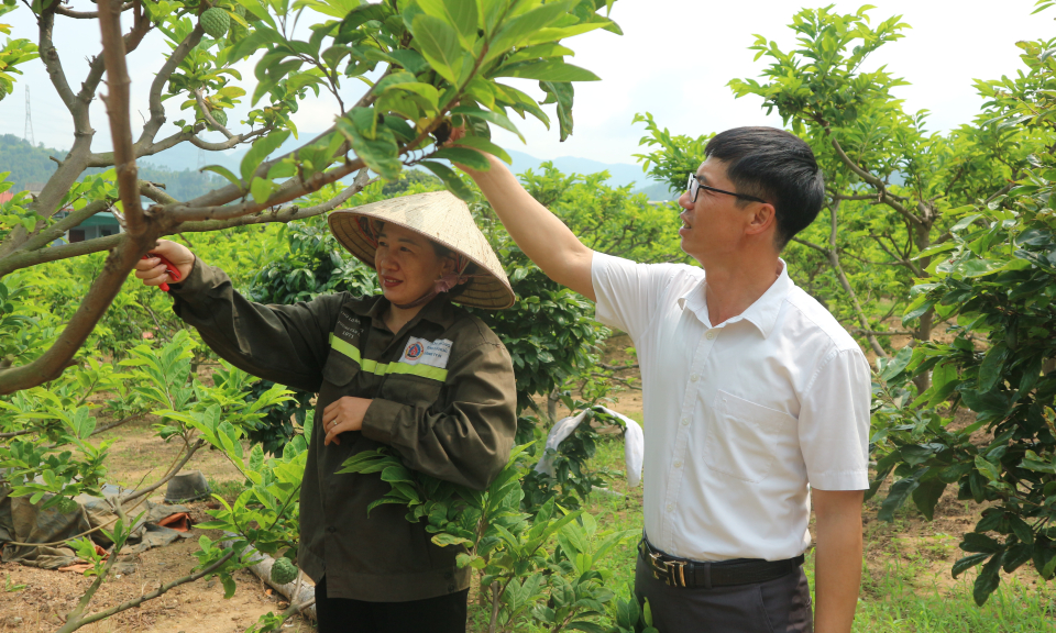 Để nhân dân giàu có, nông thôn văn minh