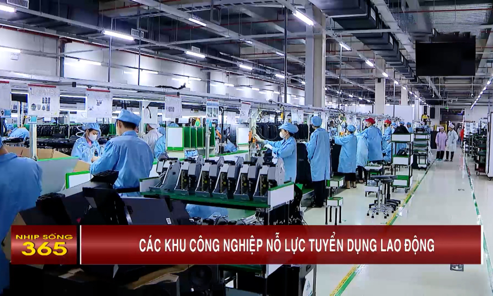 Các khu công nghiệp nỗ lực tuyển dụng lao động