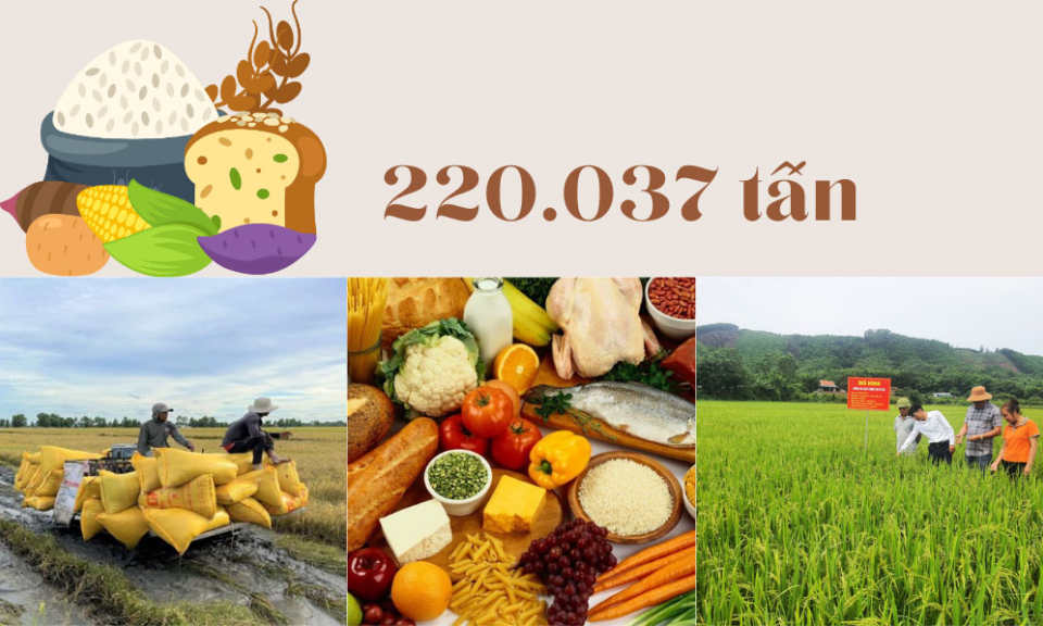 220.037 tấn - là mục tiêu sản lượng lương thực toàn tỉnh năm 2024
