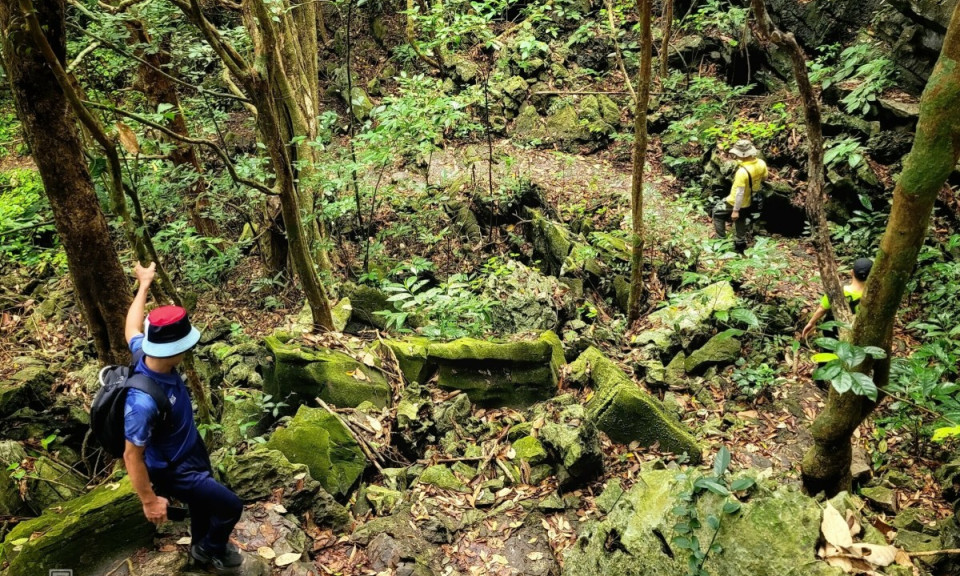 A day in the wild: trekking through Cat Ba National Park