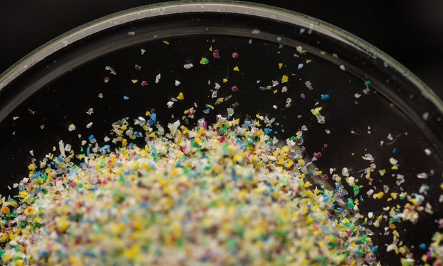 Nghiên cứu mới: phát hiện vi nhựa trong tất cả các mẫu tinh hoàn nam giới được thử nghiệm